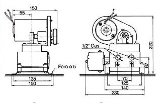 42-AUTOCLAVE BG 117 12V
