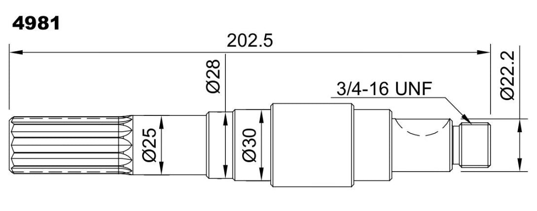 4981-ALBERO POMPA MP 50 L=202.5