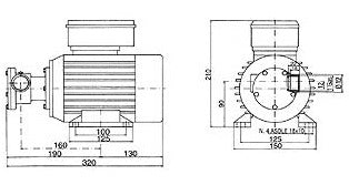ELETTROPOMPA BG 80/220 V