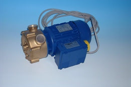 ELETTR.EP MAIOR 50 GAR. COASS.