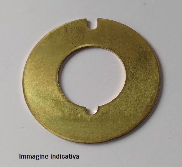 4833-ANELLO RAS.ST203 49x20x1.5