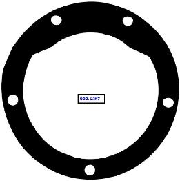 GUARNIZIONE PER POMPE