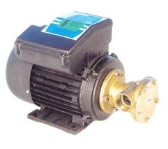 ELETTROPOMPA BG 80/220 V
