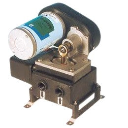 42-AUTOCLAVE BG 117 12V