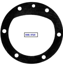 GUARN.COP. IVECO 4914944