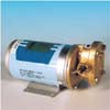 5291-ELETTROP. BG20 220 V/1.5HP