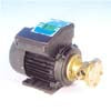 ELETTROPOMPA BG 80/220 V