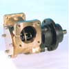 487-POMPA MFF57/CS PER MOTORE 1306