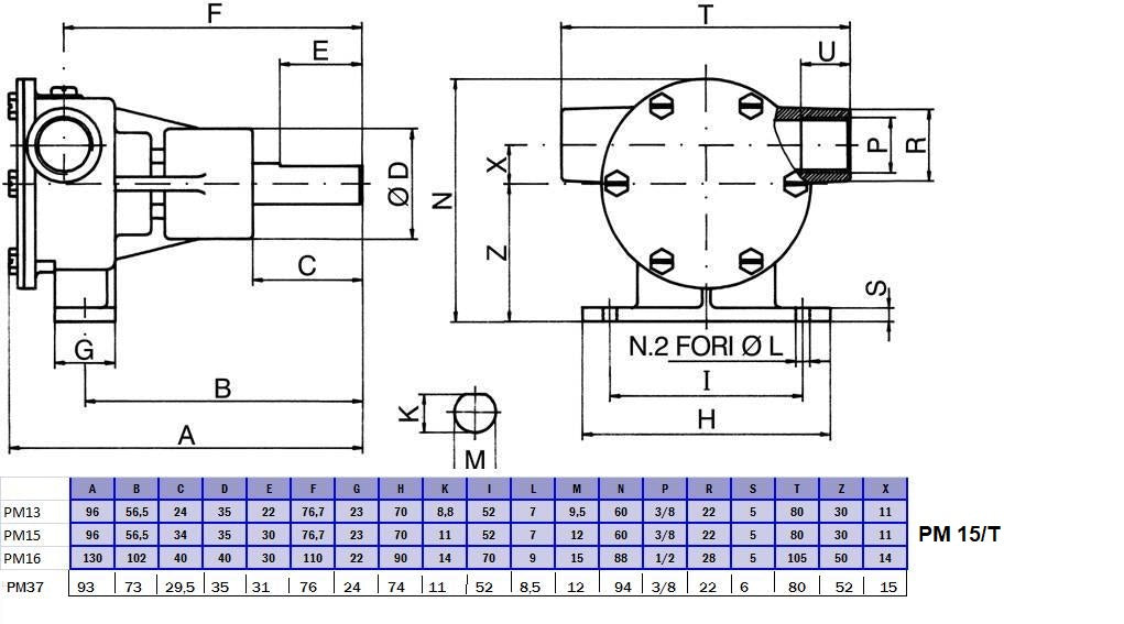 273-POMPA PM 15 CON SUPPORTO